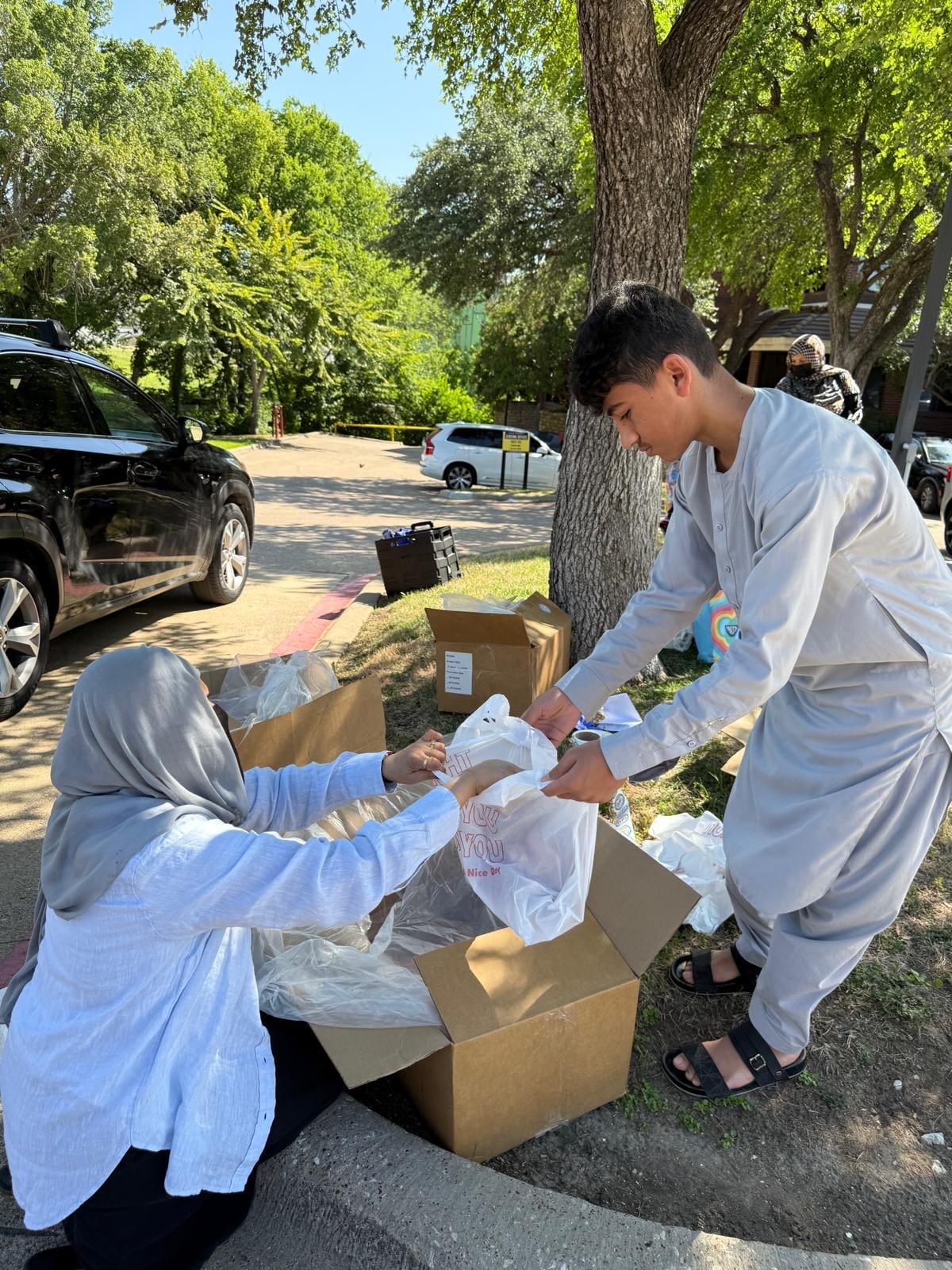 Mentorship in action